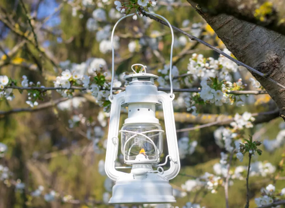 Baby Special 276 Hurricane Lantern - Pure White^Feuerhand Outlet